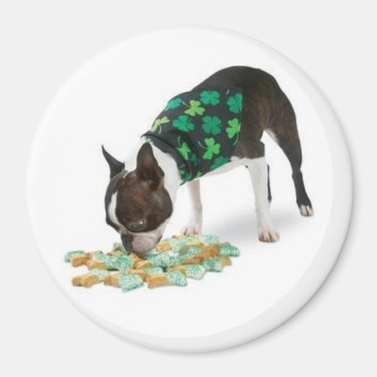 St. Patrick's Day Boston Terrier Magnet (Vorne)