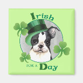 St. Patrick's Day Boston Terrier Magnet (Vorne)