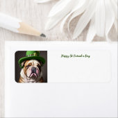 St. Patrick's Day Bulldog (Insitu)