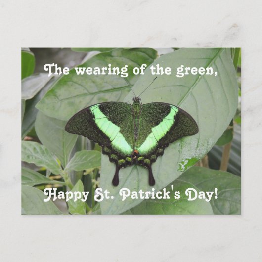 St. Patrick's Day Butterfly Postkarte (Vorderseite)