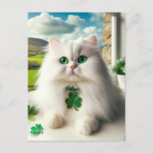 St Patricks Day Cat Fluffy White Cat Green Eyes