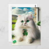 St Patricks Day Cat Fluffy White Cat Green Eyes Postkarte (Vorne/Hinten)