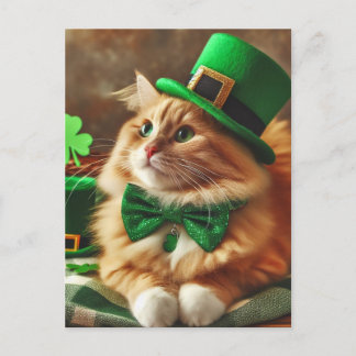 St. Patricks Day Cat Postkarte