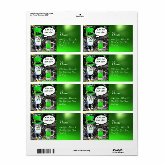 ST PATRICK'S DAY CAT WITH GREEN IRISH BEER (Vorne)