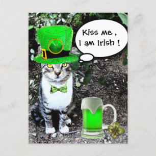 ST PATRICK'S DAY CAT WITH GREEN IRISH BEER POSTKARTE