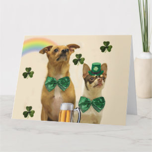 St. Patrick's Day Chihuahuas Karte