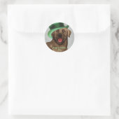 St. Patrick's Day Chocolate Labrador Classic Round Runder Aufkleber (Tasche)