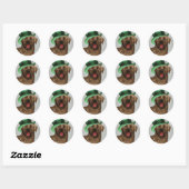 St. Patrick's Day Chocolate Labrador Runder Aufkleber (Blatt)