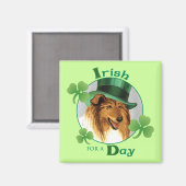 St. Patrick's Day Collie Magnet (Vorderseite/Rückseite)