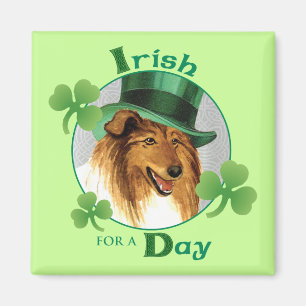 St. Patrick's Day Collie Magnet