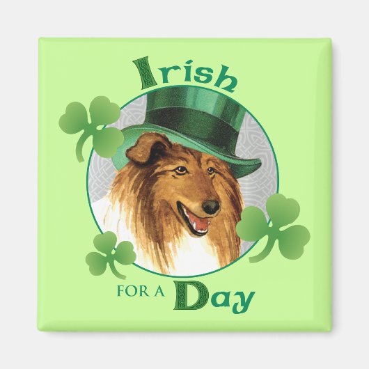 St. Patrick's Day Collie Magnet (Vorne)