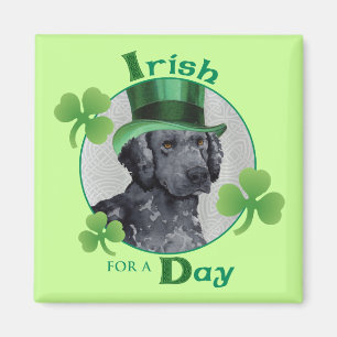 St. Patrick's Day Curly Coated Retriever Magnet