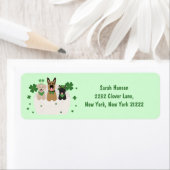 St Patricks Day Dog Mail (Insitu)