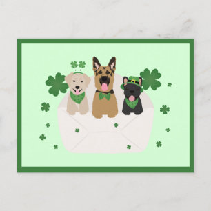 St Patricks Day Dog Mail Postkarte
