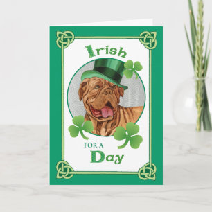 St. Patrick's Day Dogue de Bordeaux Karte