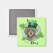 St. Patrick's Day Drahthaar Dackel Magnet (Vorderseite/Rückseite)