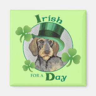 St. Patrick's Day Drahthaar Dackel Magnet
