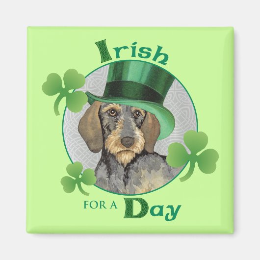 St. Patrick's Day Drahthaar Dackel Magnet (Vorne)