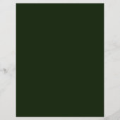 St. Patrick's Day Event Party Flyer (Hinten)