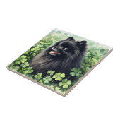 St. Patricks Day Fliese (Seite)