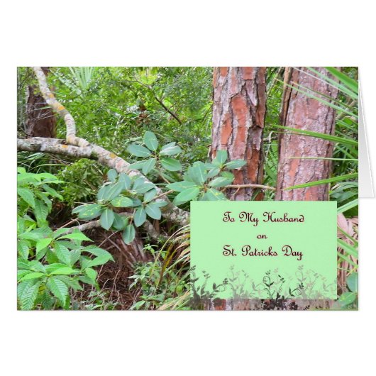 St. Patrick's Day for Husband (Vorderseite (Horizontal))