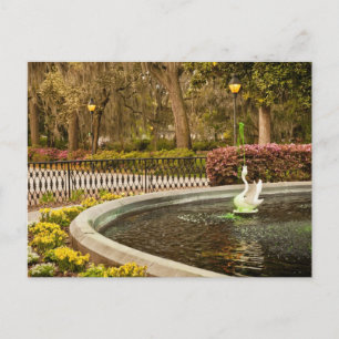 St. Patrick's Day - Forsyth-Brunnen, Savannah, GA Postkarte