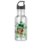 St. Patrick's Day Glen of Imaal Terrier Edelstahlflasche (Vorderseite)