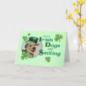 St. Patrick's Day Glen of Imaal Terrier Karte (Gelbe Blume)
