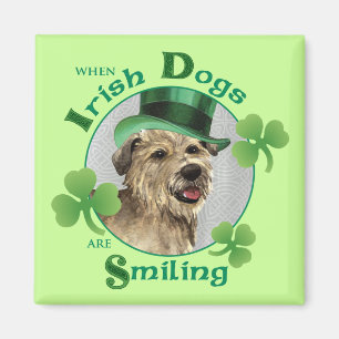 St. Patrick's Day Glen of Imaal Terrier Magnet