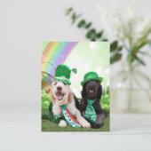 St Patricks Day - Golden Doodles - Sadie und Izzie Postkarte (Stehend Vorderseite)