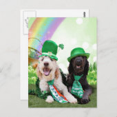 St Patricks Day - Golden Doodles - Sadie und Izzie Postkarte (Vorne/Hinten)