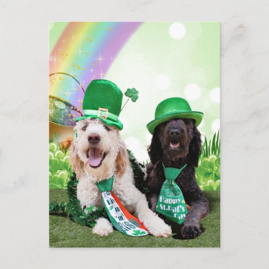 St Patricks Day - Golden Doodles - Sadie und Izzie Postkarte (Vorderseite)