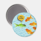St. Patrick's Day, Goldfish Spaß Magnet (Vorderseite/Rückseite)