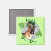 St. Patrick's Day Great Dane Magnet (Vorderseite/Rückseite)