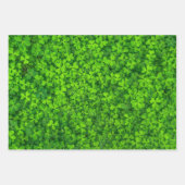 St. Patrick's Day Green Kleeblatts Leprechaun Spaß Geschenkpapier Set (Vorderseite 3)