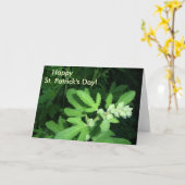 St. Patrick's Day Green Pflanze Karte (Gelbe Blume)