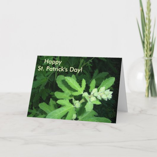 St. Patrick's Day Green Pflanze Karte (Vorderseite)