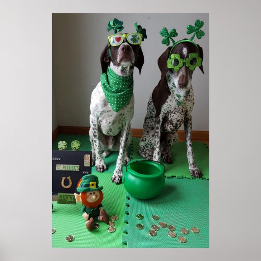 St. Patrick's Day Hogs Party Value Poster (Vorne)