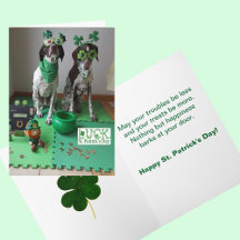 St. Patrick's Day Hunde Bereit zum Party Card