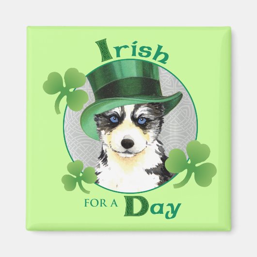 St. Patrick's Day Husky Magnet (Vorne)