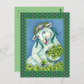 ST. PATRICK'S DAY IRISH EWE, SHEEP & KLEEBLATTS POSTKARTE (Vorne/Hinten)