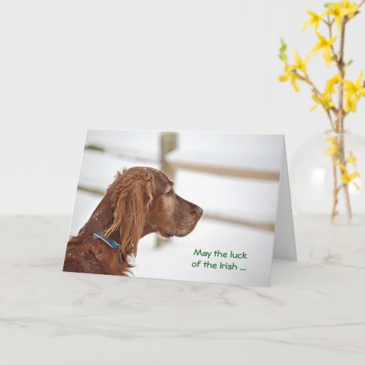 St. Patrick's Day Irish Setter Karte (Gelbe Blume)