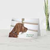 St. Patrick's Day Irish Setter Karte (Vorderseite)