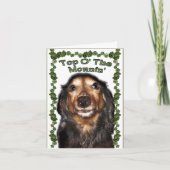 St. Patrick's Day Karte (Vorderseite)