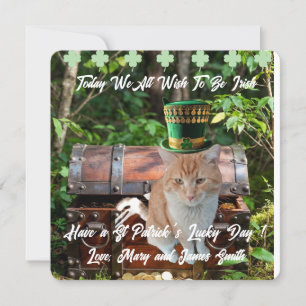 St. Patricks Day Katze Shamrock Flache Feiertagska Feiertagskarte