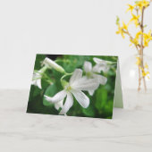 St. Patrick's Day Kleeblatt Blume Card Karte (Gelbe Blume)