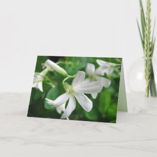 St. Patrick's Day Kleeblatt Blume Card Karte