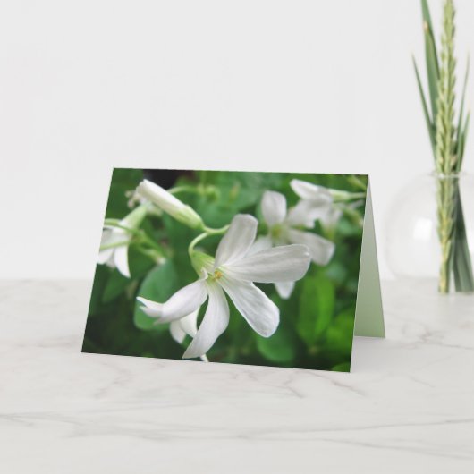 St. Patrick's Day Kleeblatt Blume Card Karte (Vorderseite)