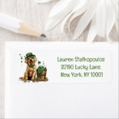 St. Patrick's Day Labrador Retriever Dog (Insitu)