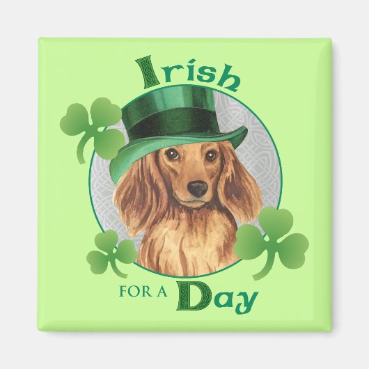 St. Patrick's Day Langhaarige Dackel Magnet (Vorne)